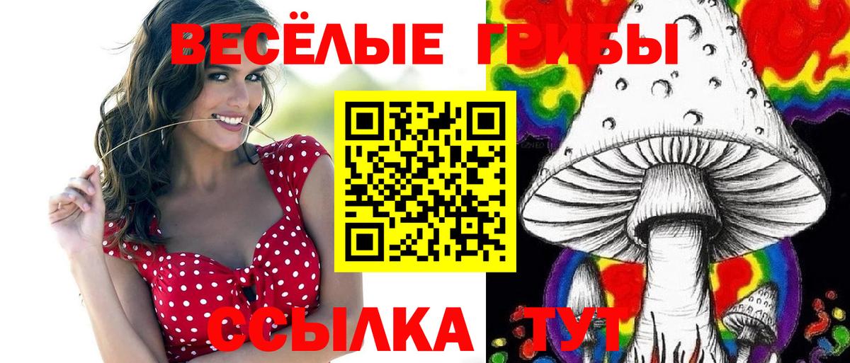 Галлюциногенные грибы Psilocybe  купить наркотики цена  Шатура  Вход с VPN  Псилоцибиновые грибы Magic Shrooms 