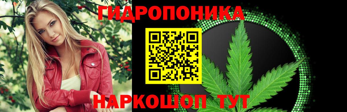Каннабис индика  Вход с VPN  Шишки марихуана ГИДРОПОН  Шатура 